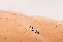 Christmas on the Dunes
